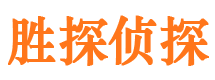 新津侦探公司